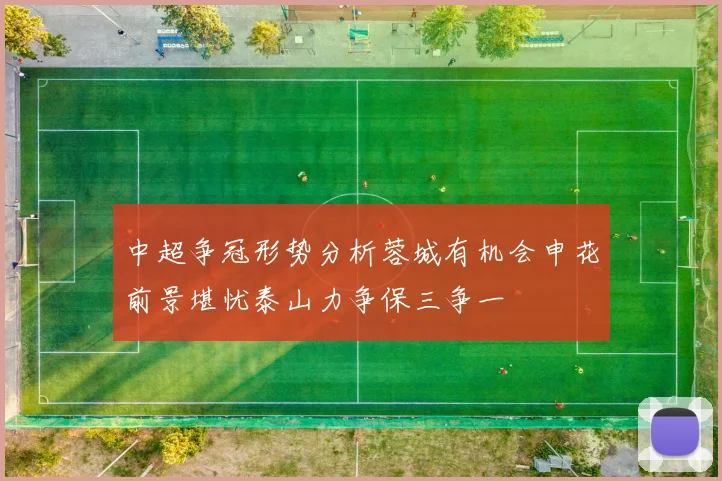 中超争冠形势分析蓉城有机会申花前景堪忧泰山力争保三争一