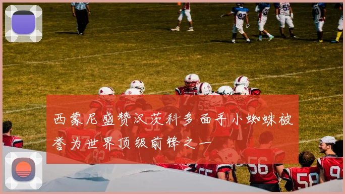 西蒙尼盛赞汉茨科多面手小蜘蛛被誉为世界顶级前锋之一